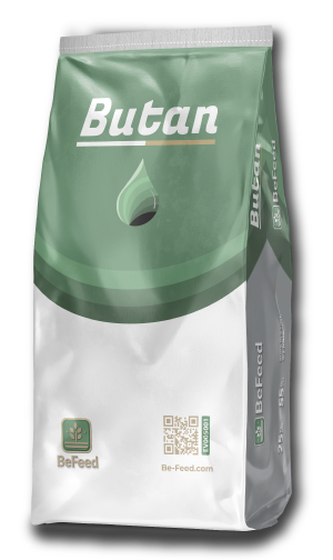 Butan-Producto
