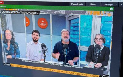 Colphos, eficiencia energética y biodisponibilidad en acción: BeFeed demuestra su impacto con un experimento en vivo