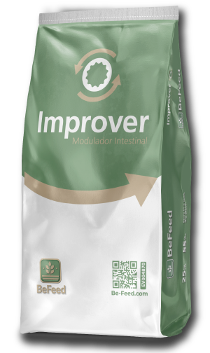 Improver-ProductoA