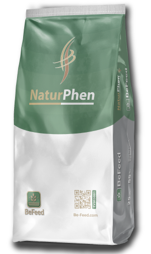 Naturphen-Producto