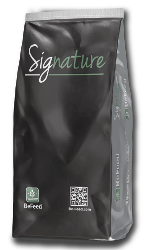 Signature-Producto