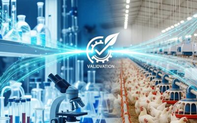 La innovación incremental como imperativo: BeFeed y el valor de la granja experimental