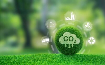 ¿Cómo reducir la huella de carbono y ser competitivos? El desafío ambiental de la producción animal moderna